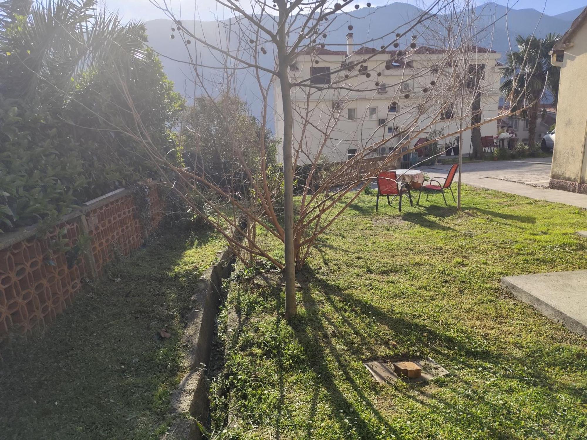 Apartments Zeljka-Dobrota Kotor Exterior photo